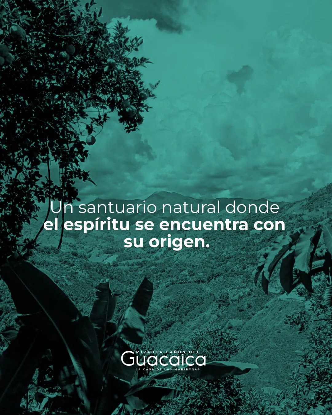 Paisaje del retiro cerca de Neira, Caldas · Cañón del Guacaica.